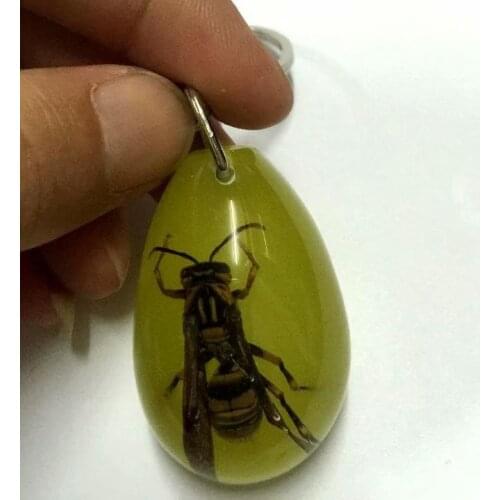 10 pcs real bee newest Keychain vogue Specimen