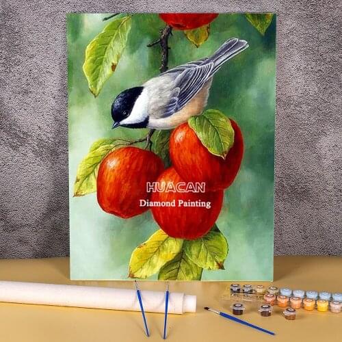 Bird Animal Painting By Numbers Package Acrylic Paints 40*50 Oil Painting Home Decoration For Handicraft