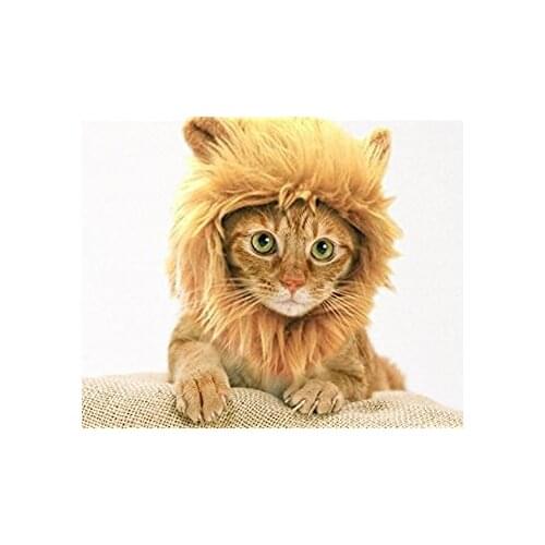 Diğer Clothes For Cats