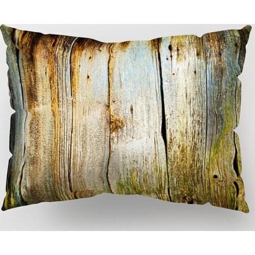 Cartoon Print Waist Cushion Cover Polyester Decorative for Car Seat Soft Lumbar Support Throw Pillow Case Cover 50x30cm