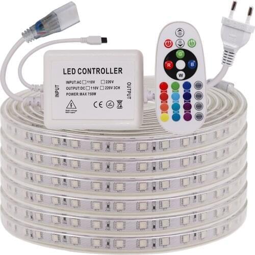 220V RGB LED Strip Light SMD 5050 60Leds/m Flexible Led Tape Rope Light IP67 Tube Waterproof Led Light Strips with 24-key Remote