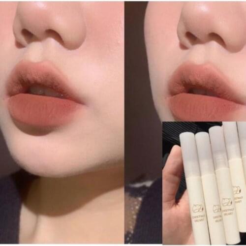 Chestnut Liquid Lipstick 6 Colors Velvet Matte For Lady Sexy Lip Makeup Waterproof Long Lasting No Fade Lip Glaze Cosmetic TSLM2