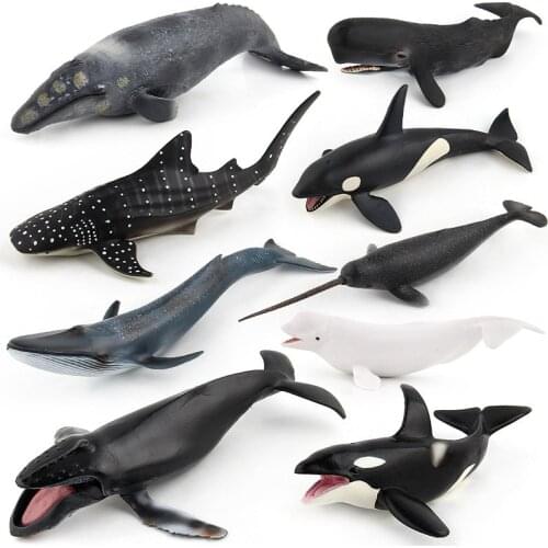 Simulation Marine Whale Animal Figure Collectible Toys Ocean Animal Cognition Action Figures Plastic Model Toys For Kids Gifts