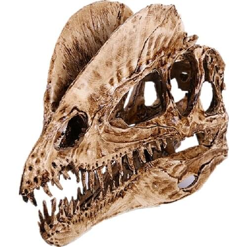 Resin double crown dinosaur skeleton sketch practice classroom teaching accessories Animal skull model