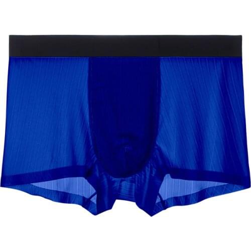 Sexy Gay Underwear Mens Boxers Modal Transparent Ice Silk Panties Man Breathable Pouch Underpants Male Boxershorts Plus Size