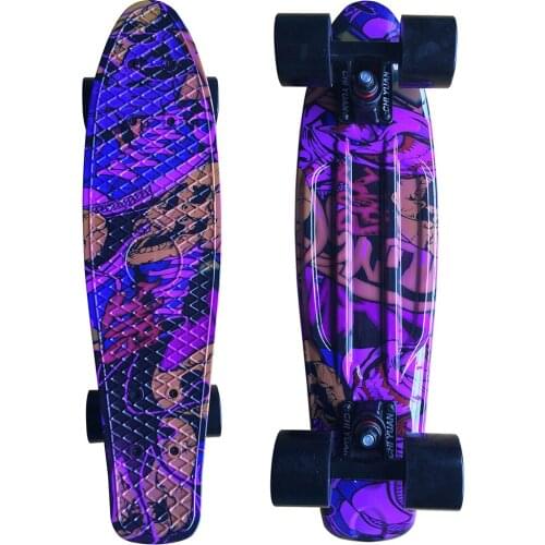 CHI YUAN Skull Graphic Printed Mini Cruiser Plastic Skateboard 22" X 6" Retro Longboard Skate Long Board