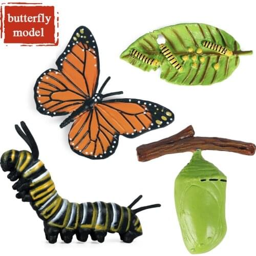Oenux New Cute Animals Growth Cycle Simulation Insect Butterfly Figurines Model Action Figures Baby Education Kids Toy