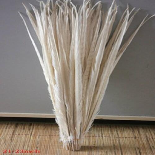 High quality natural white chicken tail feathers 50 PCS 20-22 inches / 50 to 55 cm