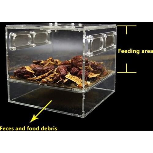 Kowloon Worm Insect Breeding Box Clear Acrylic Breeding Larva Or Fecal Separator
