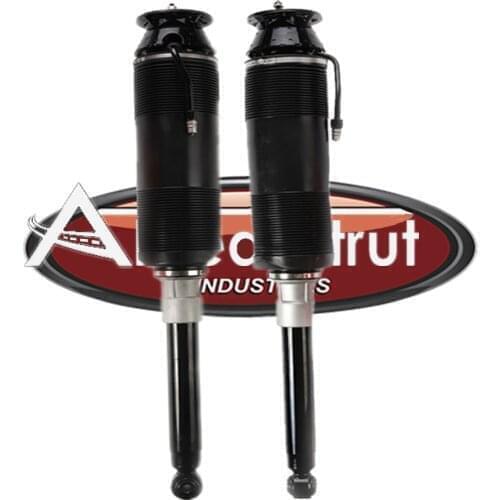 Pair Rear Hydraulic Shock Absorber Struts For 2000-2006 Mercedes-Benz S-Class W220 w/ABC Suspension S430,S500,S55 AMG,S600