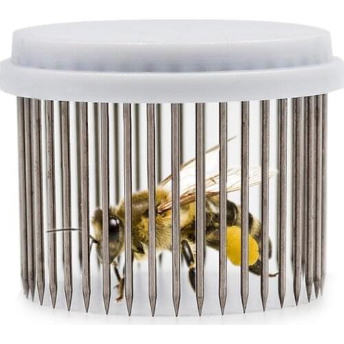 Beekeeping Queen Needle Type Bee Cage Steel Beekeeper Apiculture Catching Catcher Equipment Tools New