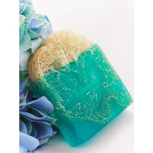 Pumpkin Fiber Natural Ocean Soap 2 pcs sent