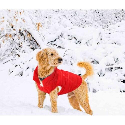Winter Pet Clothes Cat Dog Clothes For Small Dogs Fleece Keep Warm Dog Clothing Coat Jacket Sweater Pet Costume For Dogs Cat