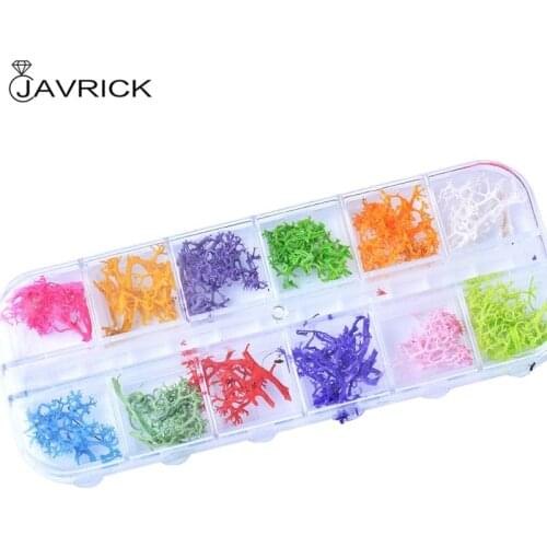 12 Colors Natural Coral Tree Pressed Dried Flower Nail Art Resin Jewelry Making