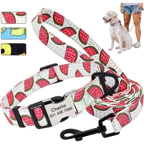 Custom Nylon Dog Collar Leash Set Personalized Puppy Nameplate ID Tag Collars Adjustable Pet Collar Lead Dog Accessories Perros