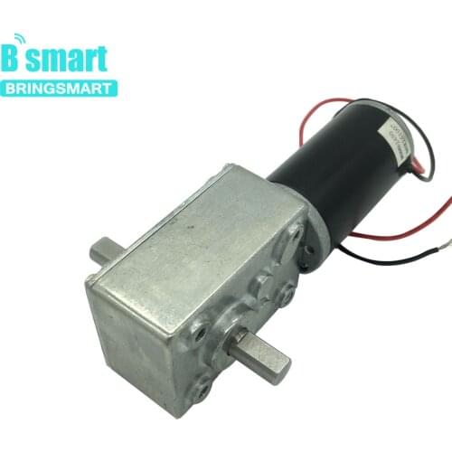 Bringsmart A58SW31ZYS Worm Gear Motor 12V High Torque Double Shaft 24V Mini Motor DC Reducer Reversible for Advertising Board