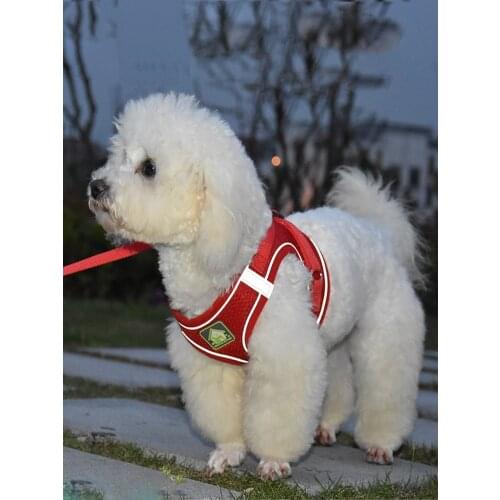 Special retractable rope vest for dog walking, adjustable small pet chain, durable, 1.5/3/5