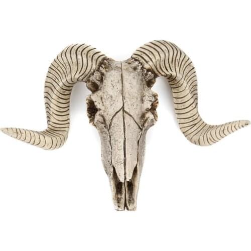 2pcs Skull Sheep ' S Head Faux Taxidermy Animal Head Wall Decor