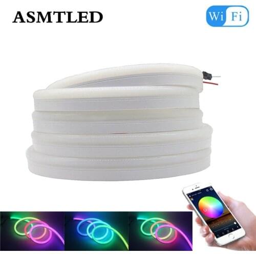 12V Addressable WS2811 pixel strip light individually RGB DC12V led band led stripe neon light 5m LED Neon Soft Strips Lighting