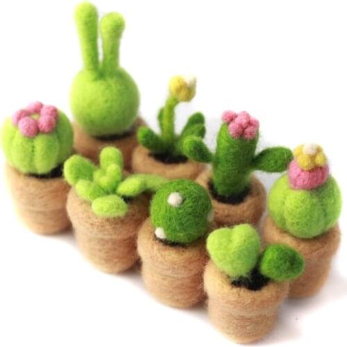 4 Pack Succulent Needle Felting Kits with 3 Felting Needles, English Manual, Foam Mat, Finger Guard, Enough Wool