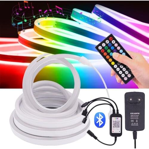 DC 12V RGB Neon Strip Light With EU US UK AU Power Supply + Remote Bluetooth Music Control SMD 5050 Flexible Ribbon LED Strip