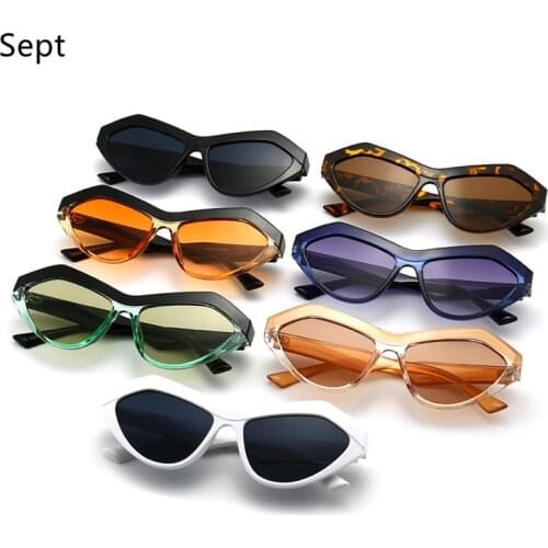 New Fashion Cat Eye Sunglasses Women Men Distinctive Leopard Black Blue Lens Frame 2021 Brand Designer Hot Sell Sunglasses