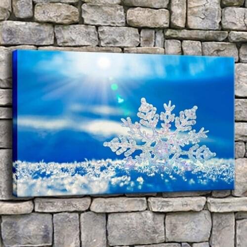 Modern Printed Wall Art Frame Canvas Pictures 1 Piece Winter Beautiful Snow Crystal Painting Bedroom Snowflake Poster Home Decor