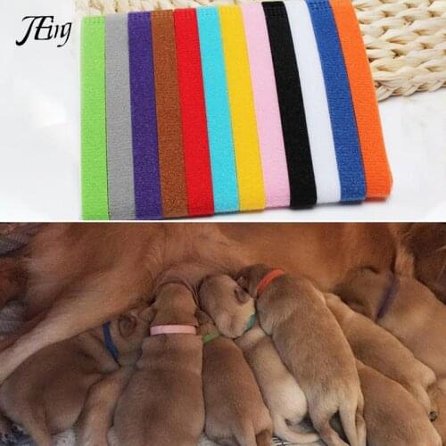 12Pcs/Set Puppy Newborn Pets Identify Collars Adjustable Nylon Dog Cat Necklace