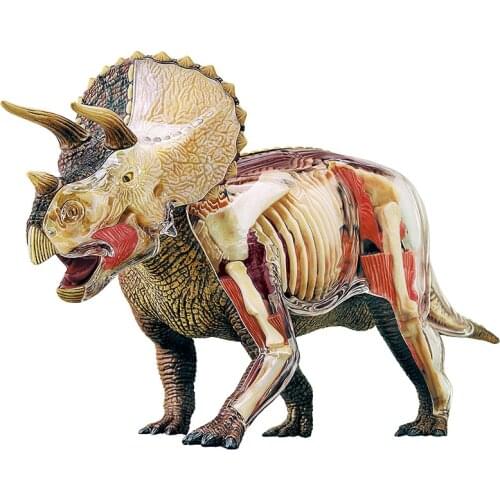 4D Big triceratops Intelligence Assembling Toy Animal Organ Anatomy Model Medical Teaching DIY Popular Science Appliances