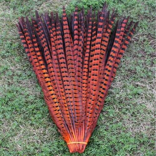 Free shipping 100 PCS long orange color pheasant tail feathers 22-24inches/55-60cm