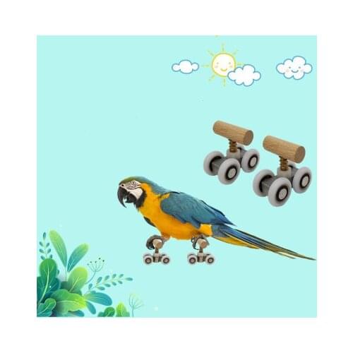 2pcs Parrot Trick Tabletop Mini Roller Ice Skates for Small Medium Parrots Bird Intelligence Training Puzzle Toys