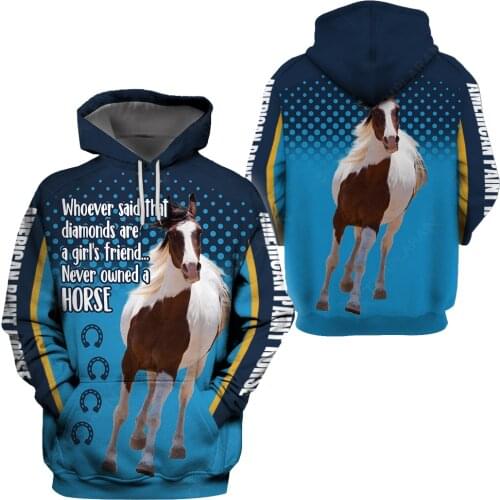 Amerigan Paint House hoodie 3D Printed Hoodies Fashion Pullover Men For Women Sweatshirts Sweater Cosplay Costumes