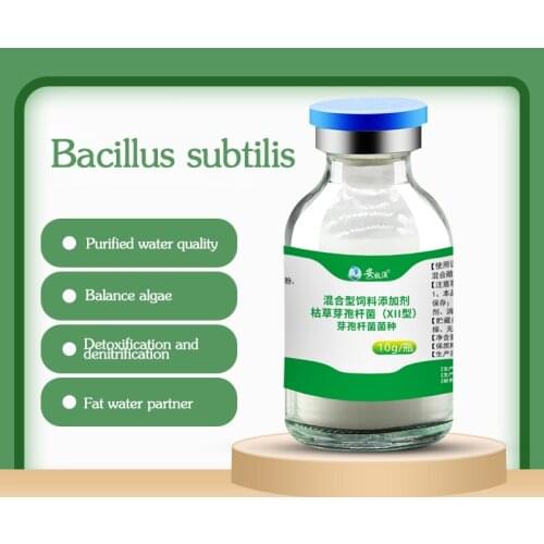 Bacillus subtilis strain powder aquaculture special raw powder fish pond fat water shrimp and crab pond water purification