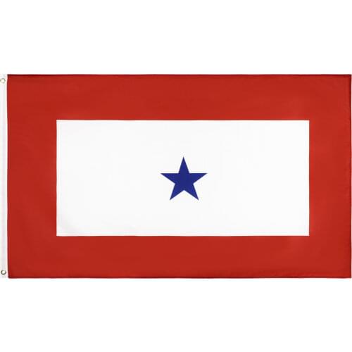 3x5 fts Family Member Military Service Banner 1 Blue Star Flag