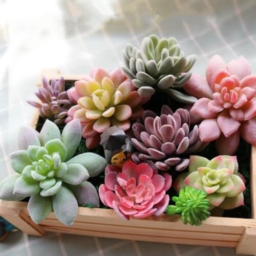Artificial Succulents Land Lotus Plants Grass Desert Artificial Plant Landscape Fake Flower Arrangement Garden Home Decoration