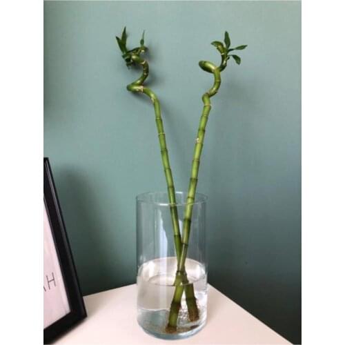 Стеклянные вазы для цветов Turkish A2Z China At AliExpress