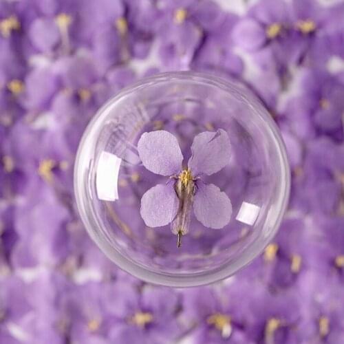 60pcs Pressed Dried Orychophragmus Violaceus Flower Plants Herbarium For Epoxy Resin Jewelry Making Makeup Nail Art Craft DIY