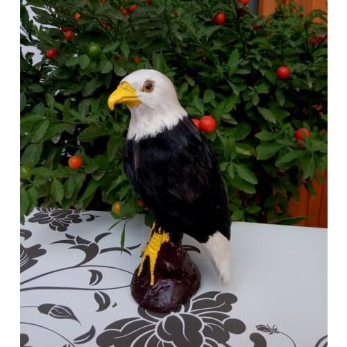 Simulation eagle 21x12cm hard model toy,polyethylene&furs toy ,home decoration,Xmas gift 0738