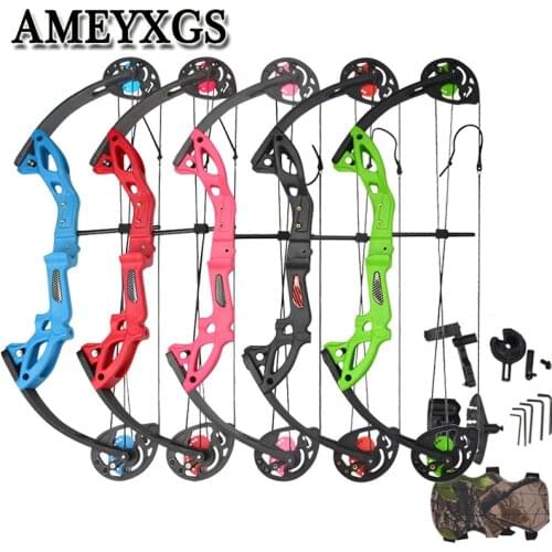 1 Set Archery 15-29 lbs Compound Bow 260fps Teens Beginner Getting Started Profession Bow and Arrow For Shooting Training Gift