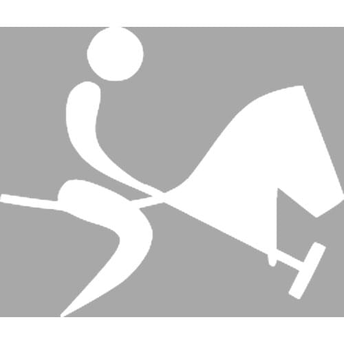 Ikon Polo Sports Stencil Design, Painting Template 30x30 Cm, Walls, Tiles, furniture For Easy and Practical Pattern Application