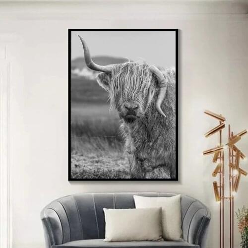 Modern Home Decor Black White Highland Cow Print And Poster Animal Wall Art Scottish Cow Picture Farm House Living Room Unframed