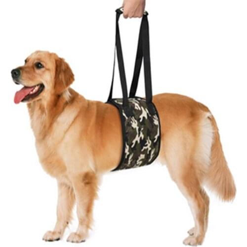 Dedicated auxiliary belt for elderly injured dogs