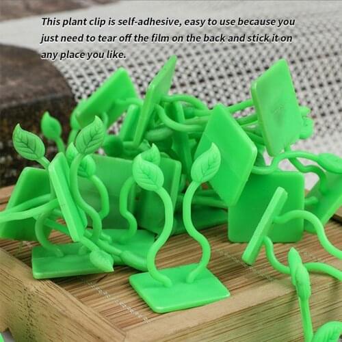 10pcs Plant Climbing Wall Clip Invisible Wall Vines Fixture Wall Sticky Hook Holder Plant Cages Plant Supports Clip Vine Clip