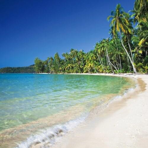 Laeacco Summer Tropical Sea Beach Sand Palms Tree Blue Sky Holiday Scenic Photographic Background Photo Backdrop Photo Studio