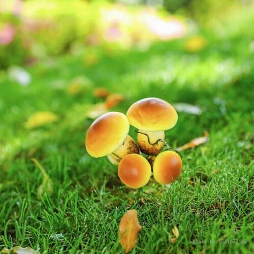 Garden decoration cartoon outdoor decoration environmental protection material pastoral style small mushroom decoration