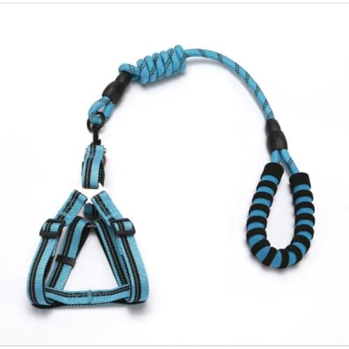 L Size Dog Leash Pet Collar Set with Custom Fashion Pet Collar and Leash Heat Transfer Sublimation Logo Printed