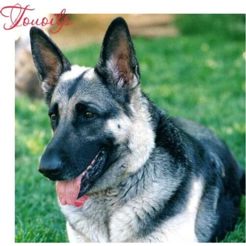 "Shepherd dog" Diamond Painting 5D DIY Diamond Cross Stitch full spuare&Round Resin Mosaic Embroidery Painting Decoration insect