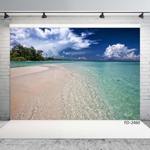 Summer Sea Green Ocean Sky Cloud Beach Scenery Portrait Children Photography Backgrounds Photographic Backdrops For Photo Studio