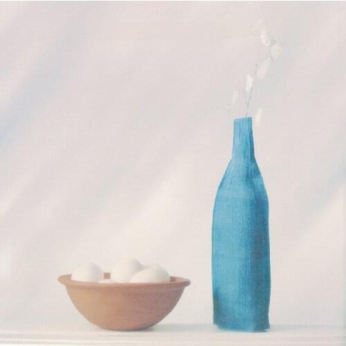 Modern home wall art living room hall decoration blue vase and white flower picture still life oil painting on canvas