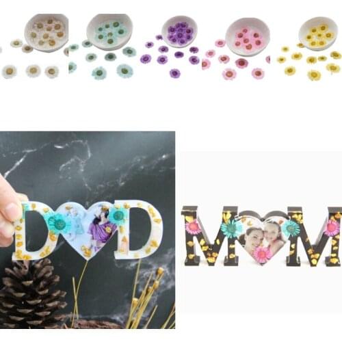 12 Pcs/Set DIY Needle Chrysanthemum Dried Flowers Resin Mold Fillings UV Expoxy Filler Flower for Nail Art Pressed Flowers Decal